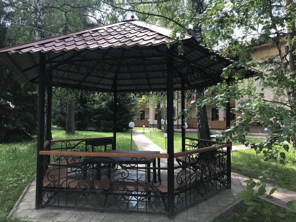 Большая беседка (до 30 человек) в Новосибирске