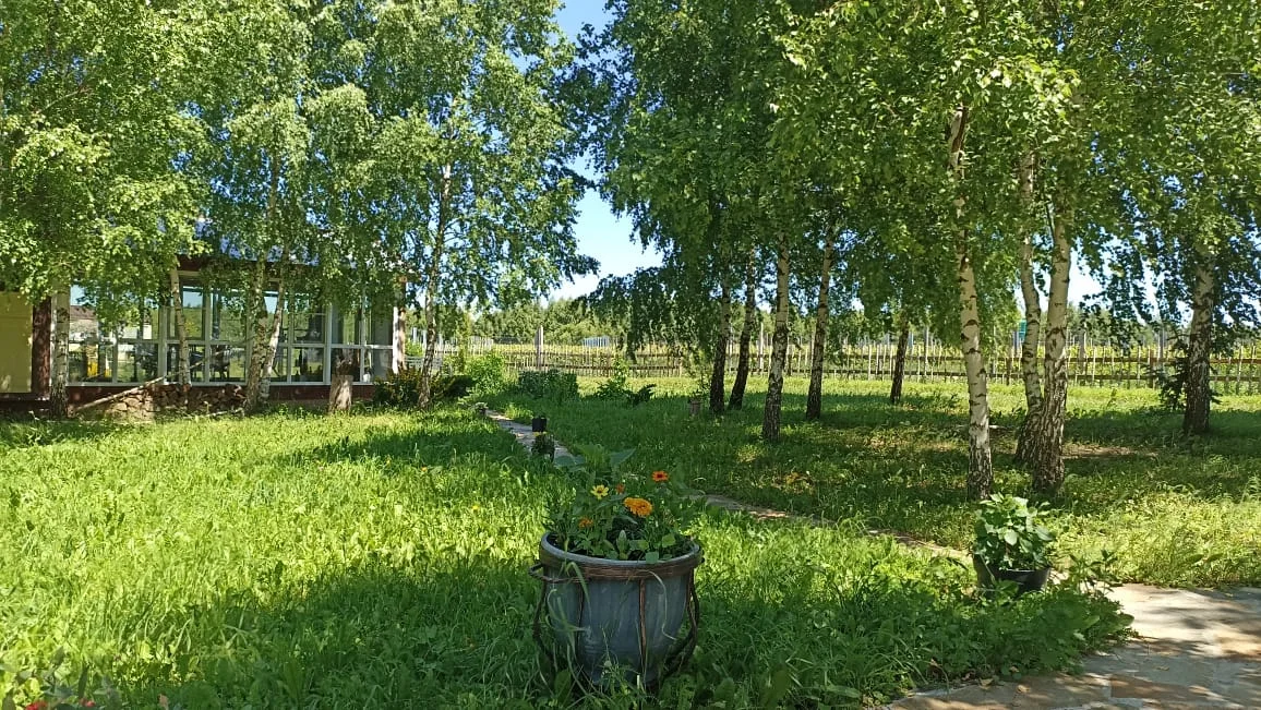 Аренда площадки с беседкой до 50 гостей на винограднике KULAKOVO