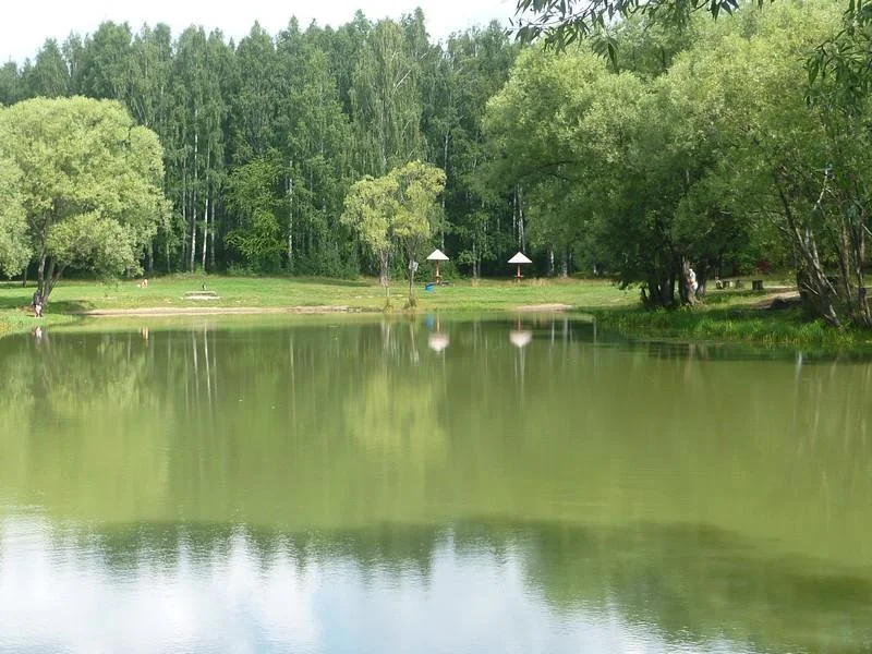 Летние беседки для пикника с мангалами до 20 человек в Парке Победы
