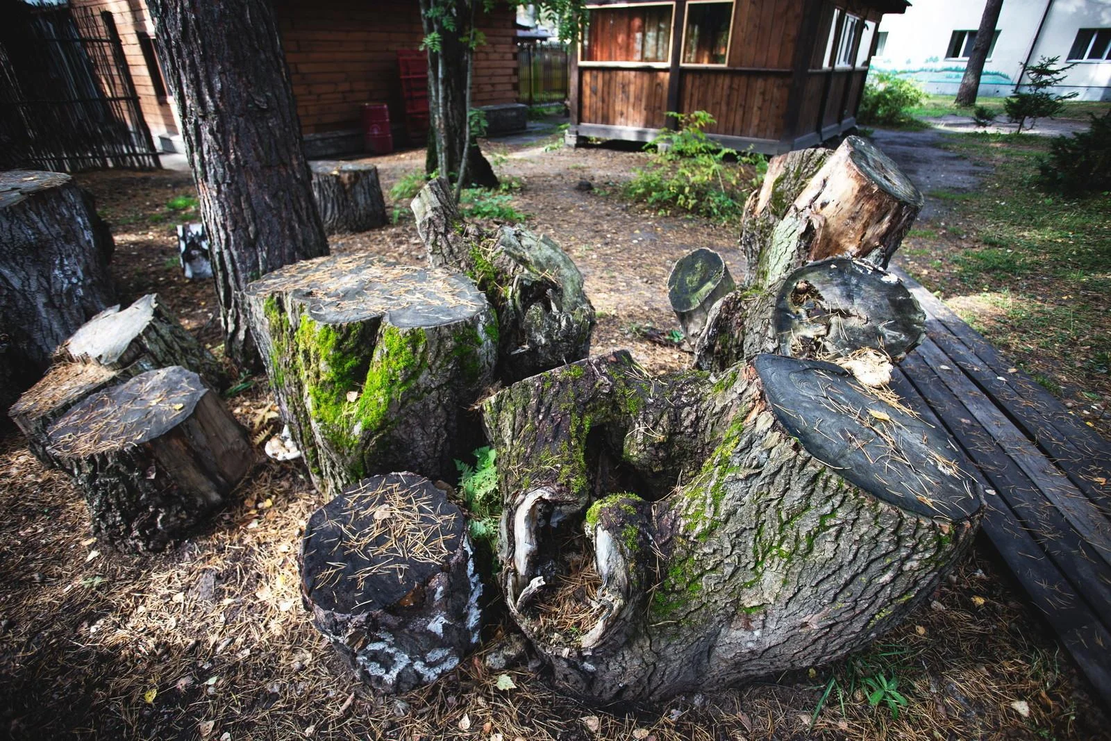 Аренда теплой беседки на 15 человек для шашлыка в Томске — Комплекс отдыха «Академия»