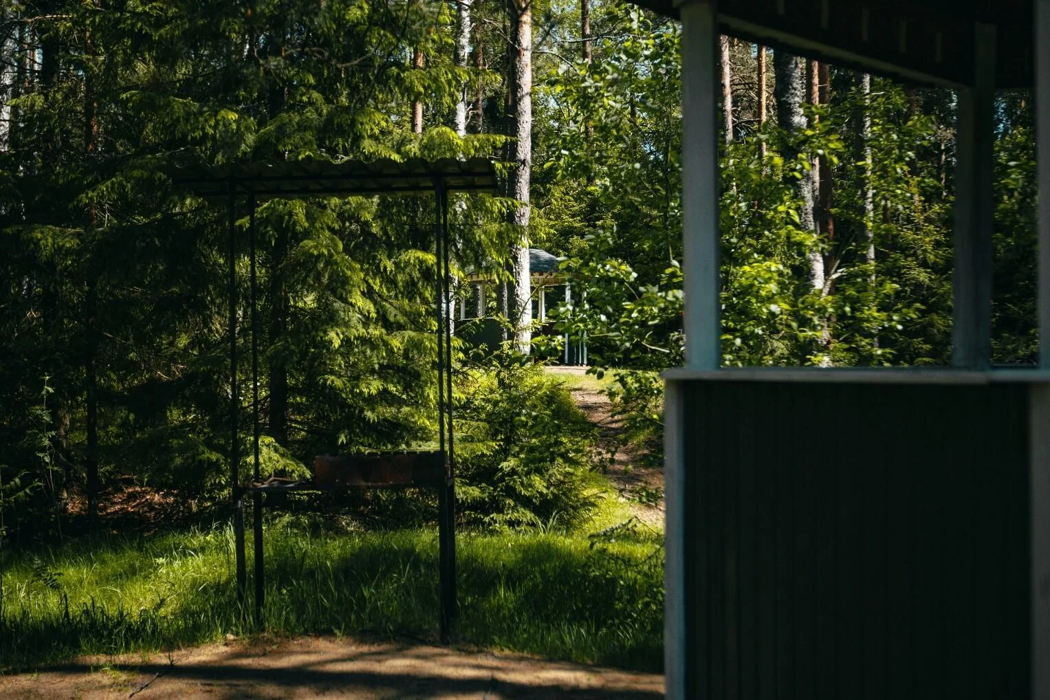 Снять беседку на 8 человек в лесной зоне возле озера