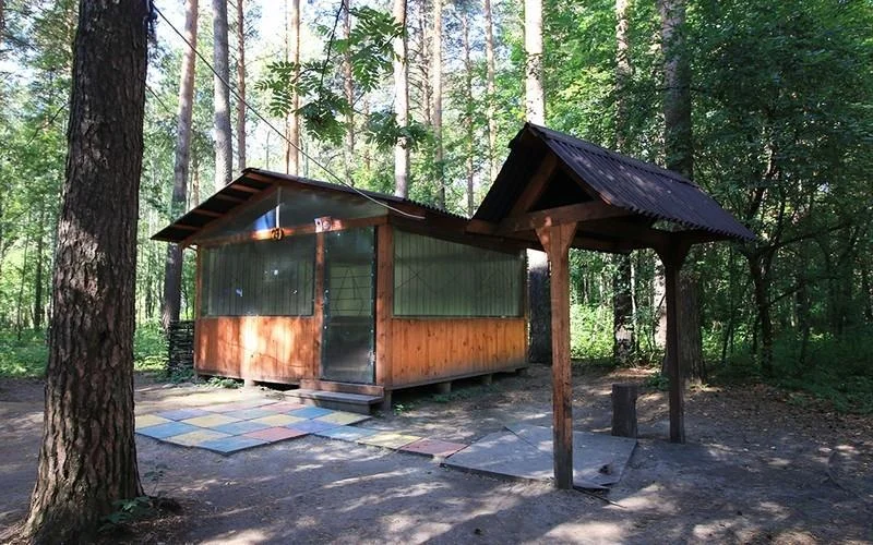 Беседки для шашлыка в аренду до 15 человек в Парке Победы