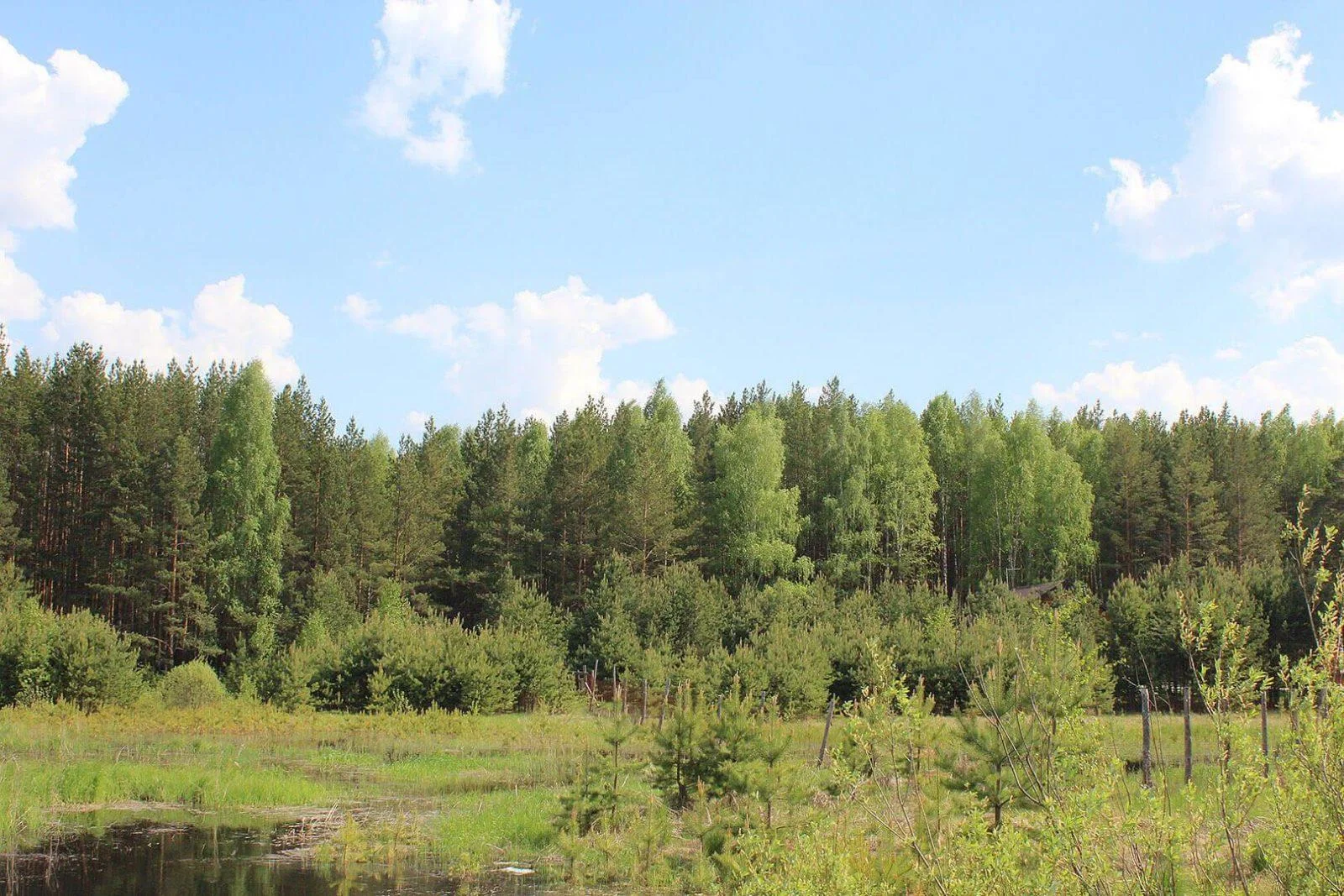 Уютное, открытое костровище для большой компании в Свердловской области