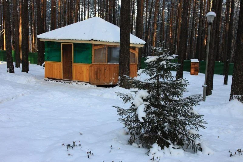 Беседка барбекю в Екатеринбургской области – “Зелёный Бор”