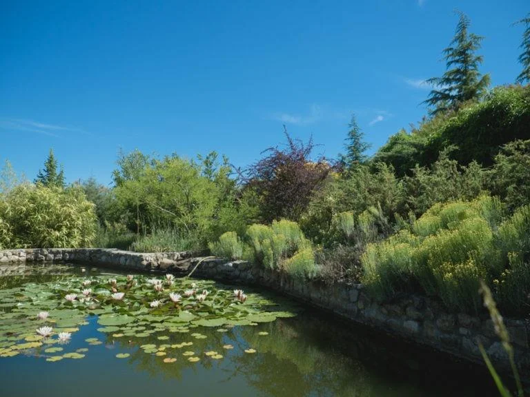 Большая беседка на 30-36 человек на Свадьбу и День Рождения