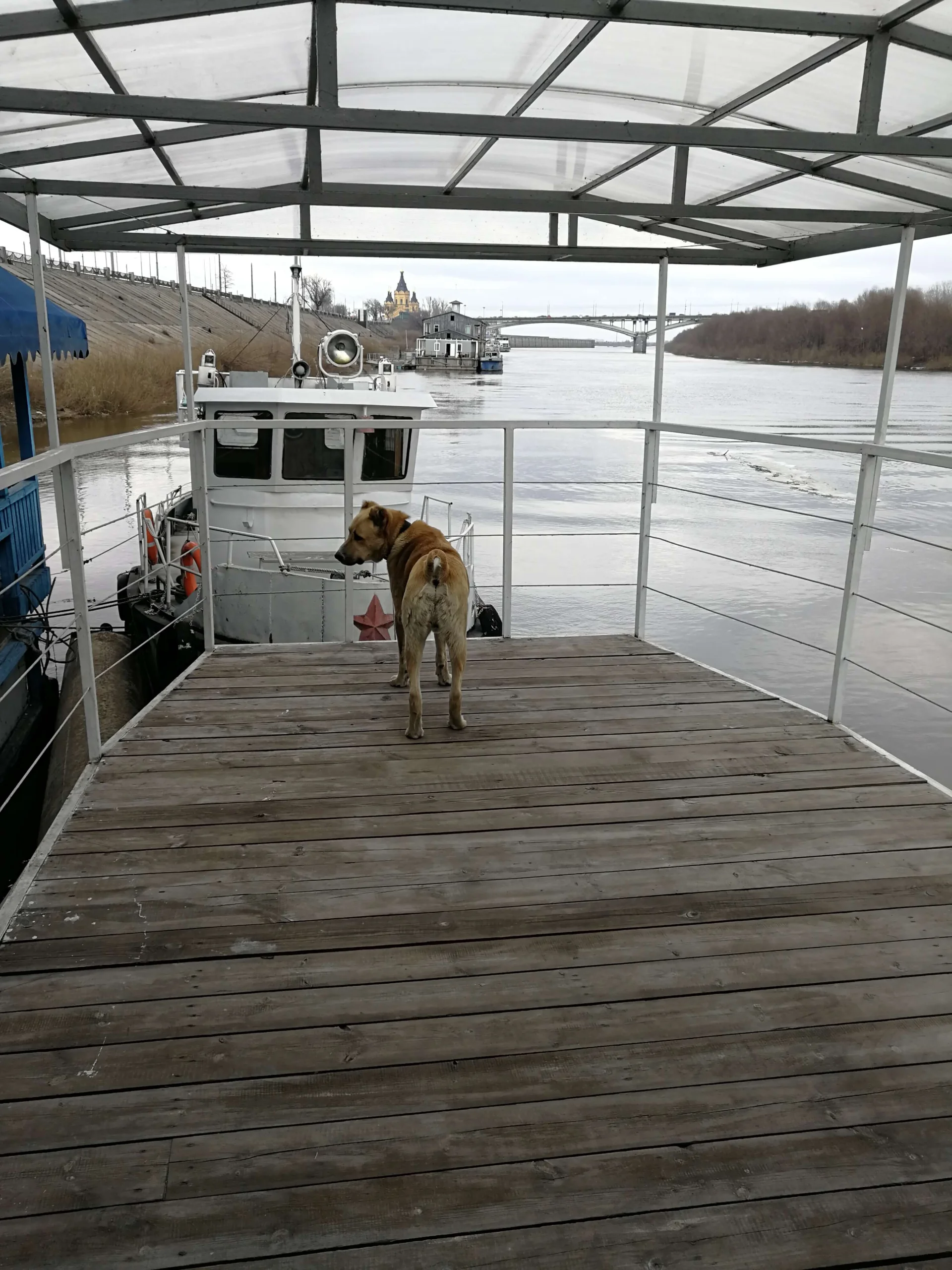 Летняя беседка на стоячем теплоходе