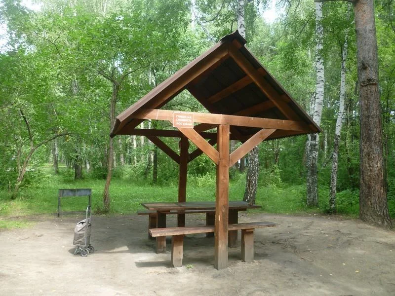Пикниковые места с мангалами до 10 человек в Парке Победы