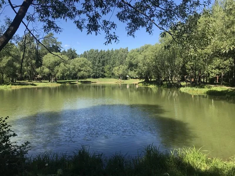 Отапливаемая беседка на 20 человек «Теремок» в Парке Победы