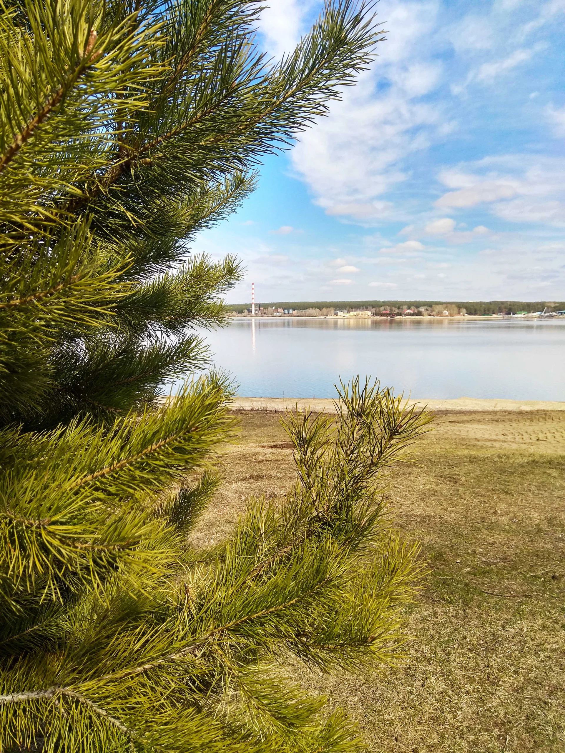 Снять беседку вблизи воды на пляже в городе Бердск