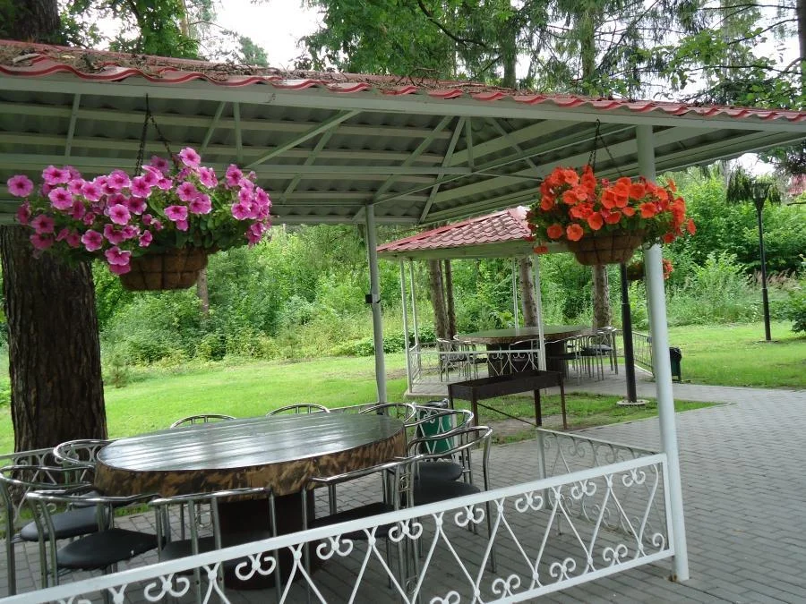 Беседки для шашлыка в оздоровительном комплексе “Десна”