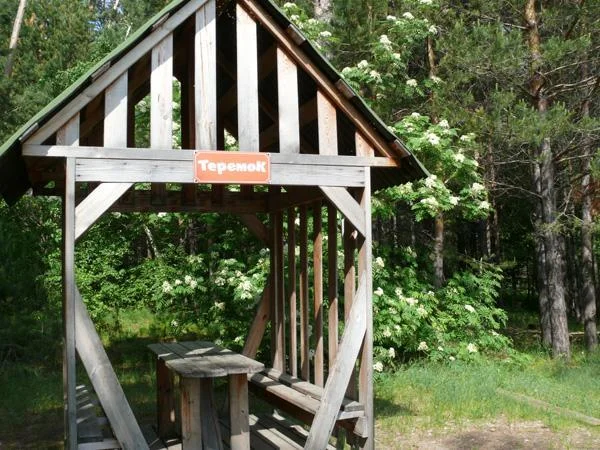 Деревянная беседка на компанию до 6 человек в аренду